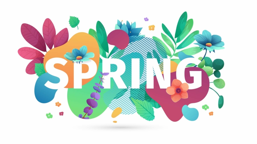 Template design banner for spring season sale. Promotion offer layout with plants, leaves and floral decoration.  Abstract shape with flowers frame. Vector.