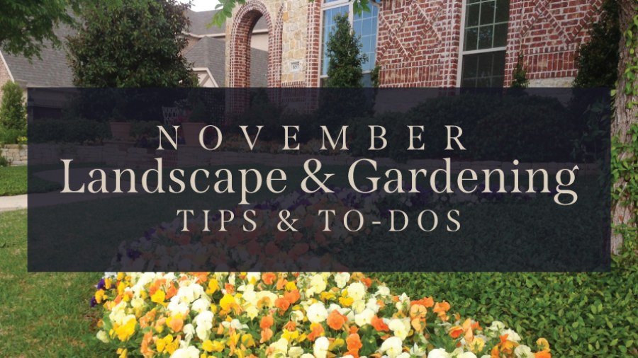 November-Landscape-&-Gardening
