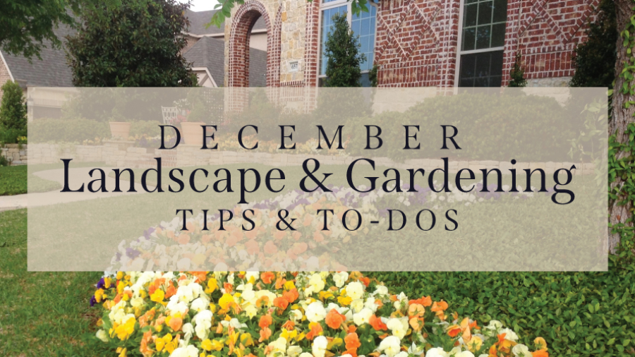 December-Landscape-&-Gardening