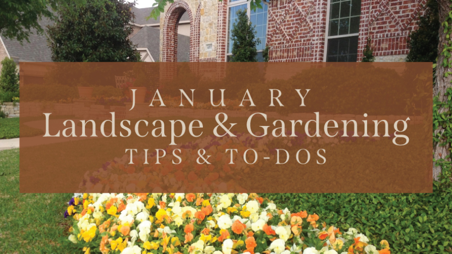 January-Landscape-&-Gardening