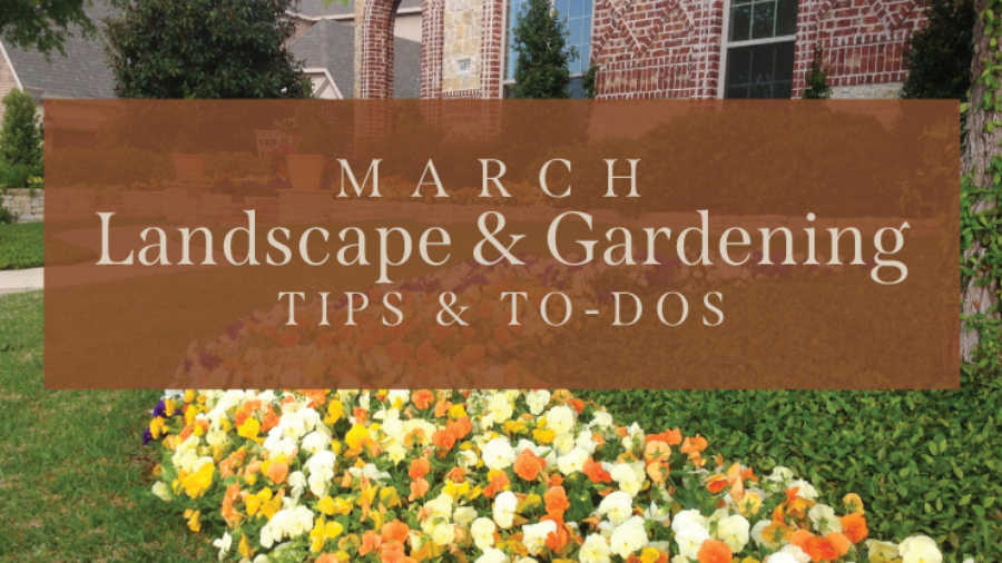 March-Gardening-Tips