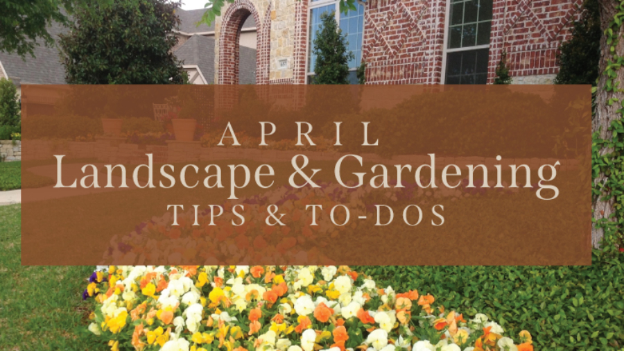 April-Gardening-Tips