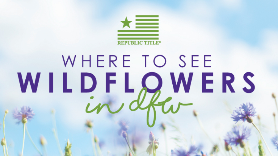 Where-to-see-wildflowers-in-dfw-2022