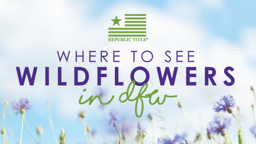 Where-to-see-wildflowers-in-dfw-2022