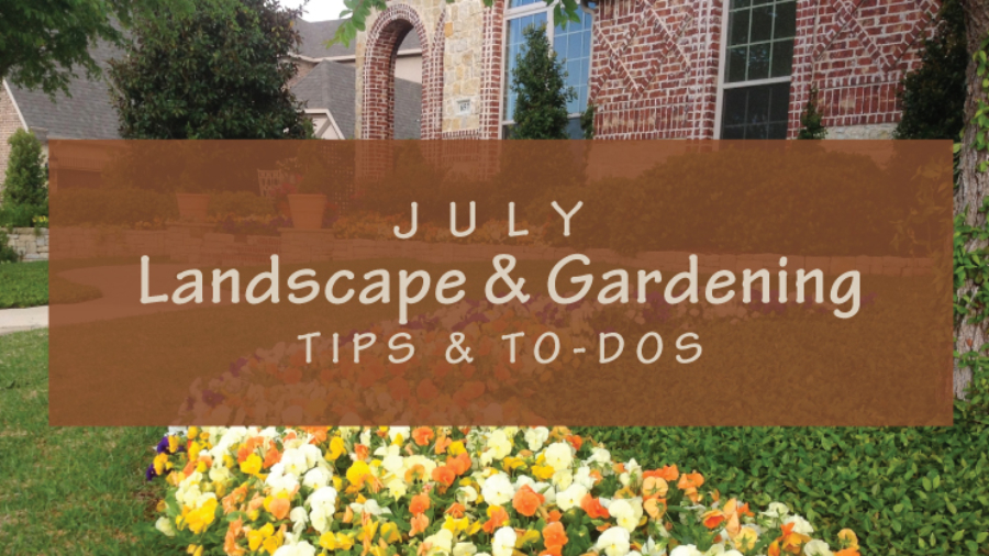 July-Gardening-Tips