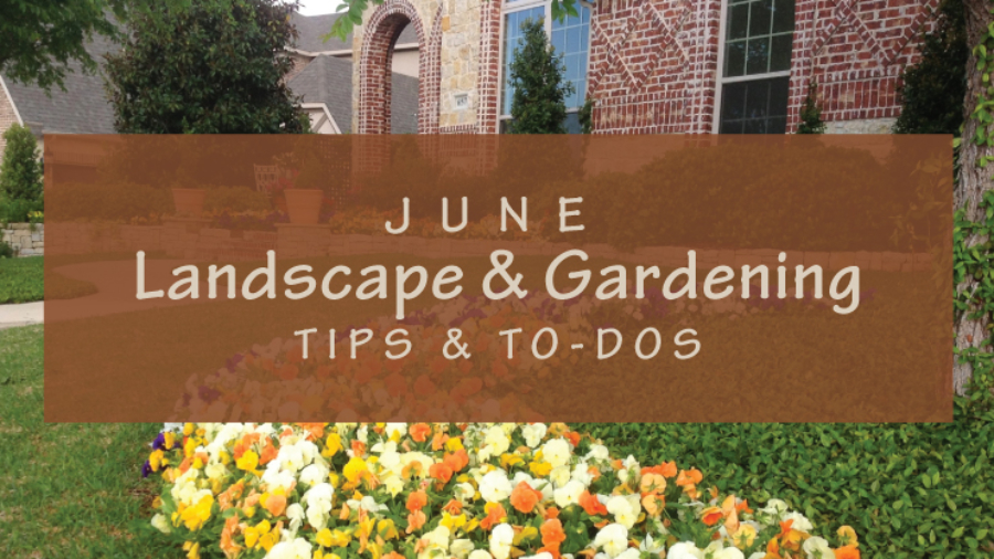 June-Landscape-Tips