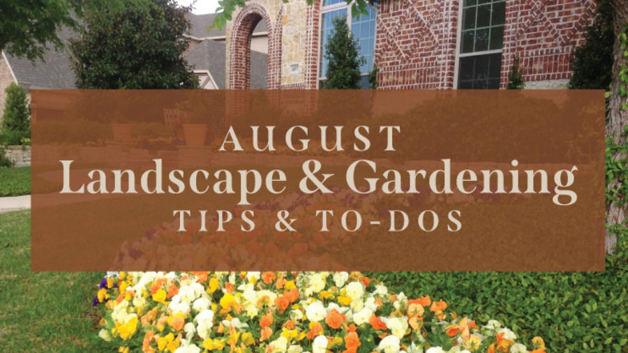 August-Landscape-tips