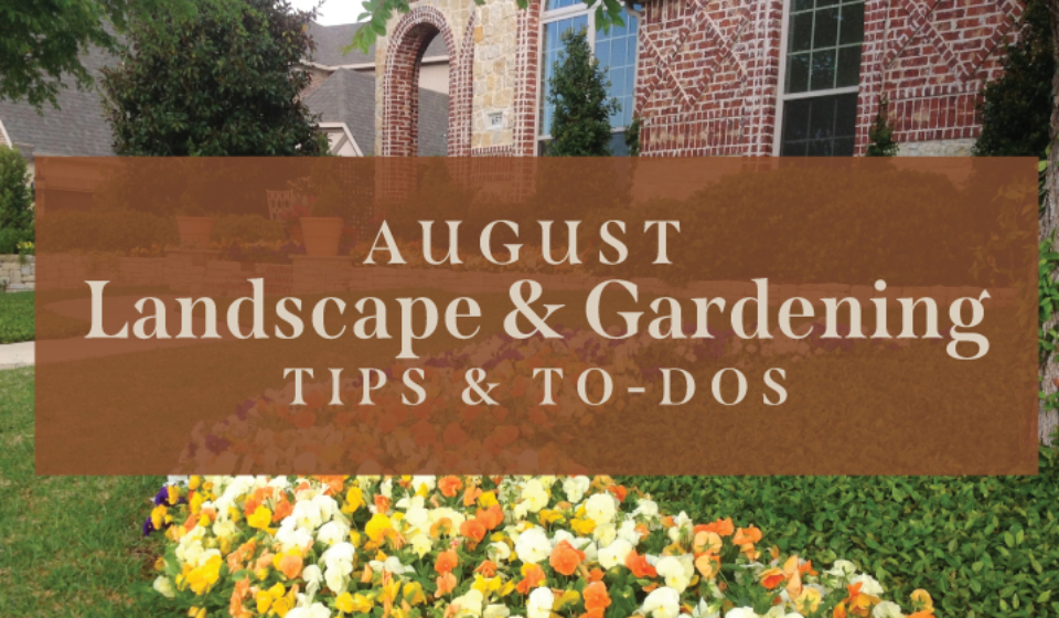 August-Landscape-tips