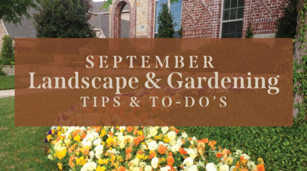 September Landscape & Gardening Tips & To-Do's - Republic Title