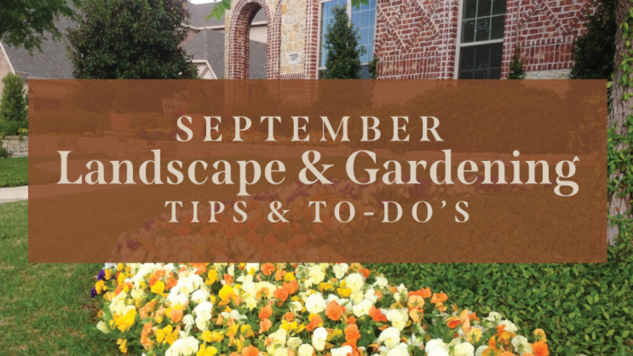 September-Landscape-Tips