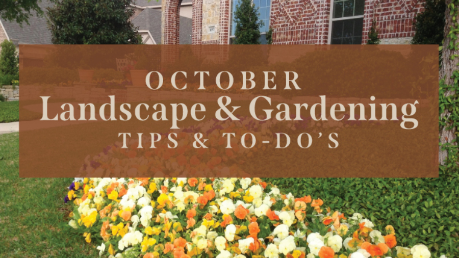 October-Landscape-Tips