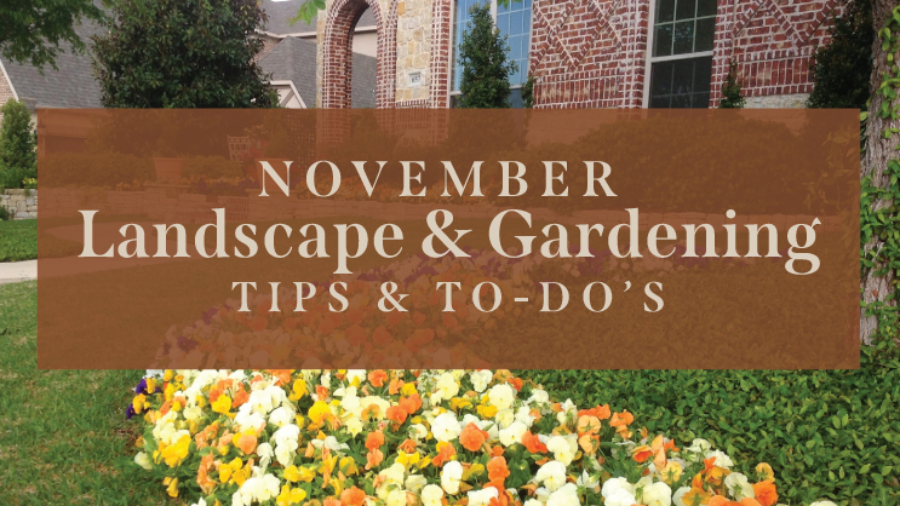 November-Landscape-&-Gardening-2022