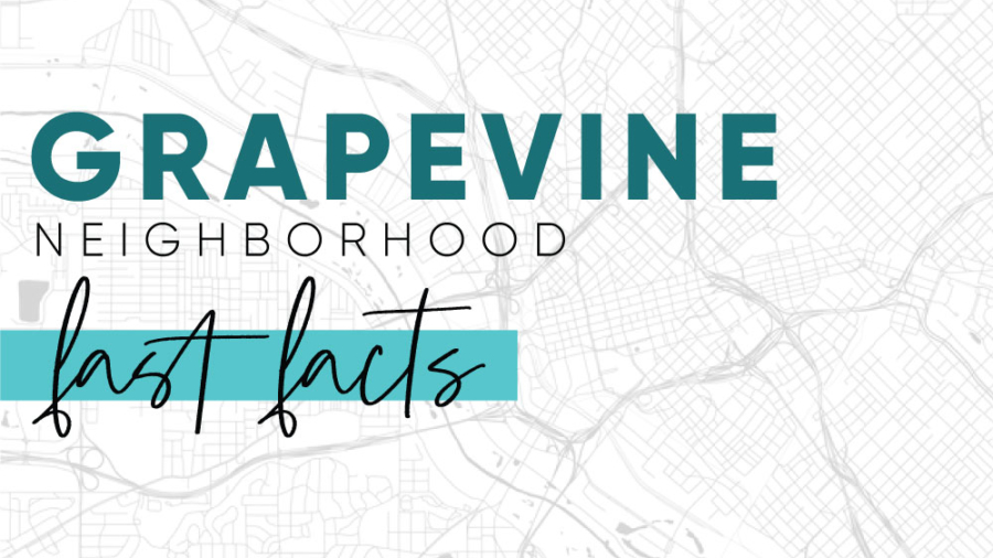 City-fast-Facts-Website-Thumbnail-Graphics-Grapevine