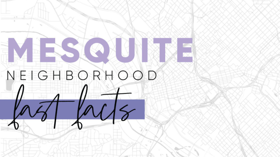 City-fast-Facts-Website-Thumbnail-Mesquite
