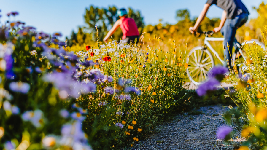 Idyllic bike ride